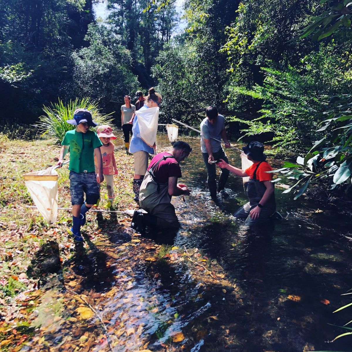 Kalang River Waterbug Blitz