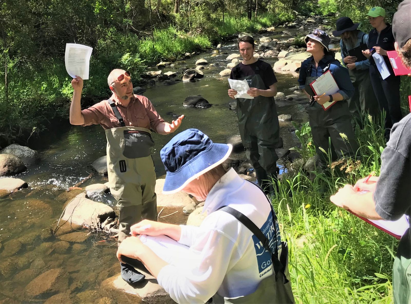 Waterbug ID training